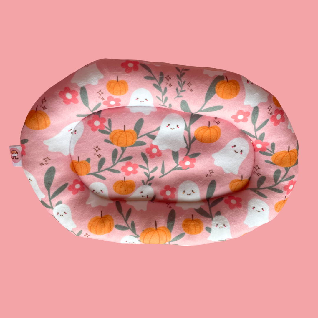 Piggy Pillow in Summerween