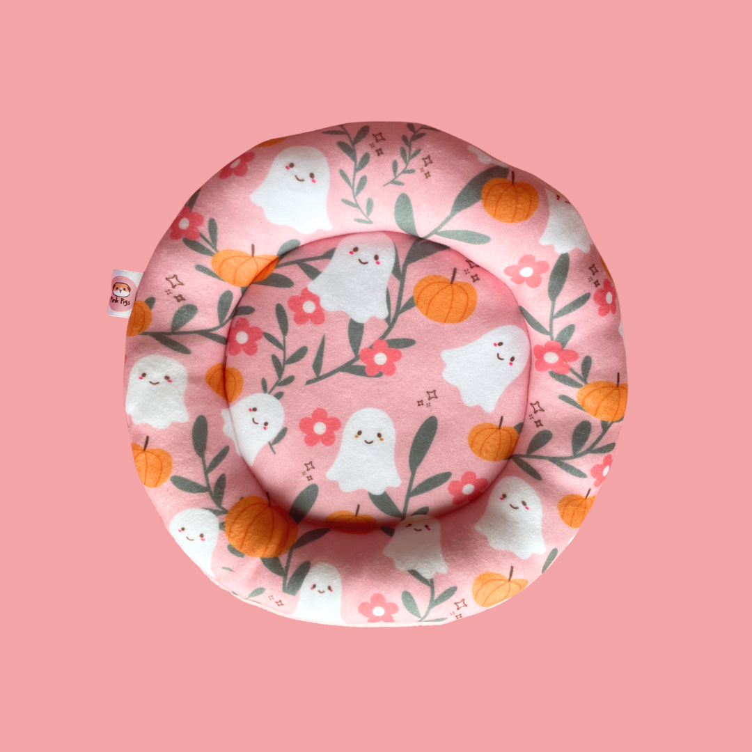 Piggy Pillow in Summerween