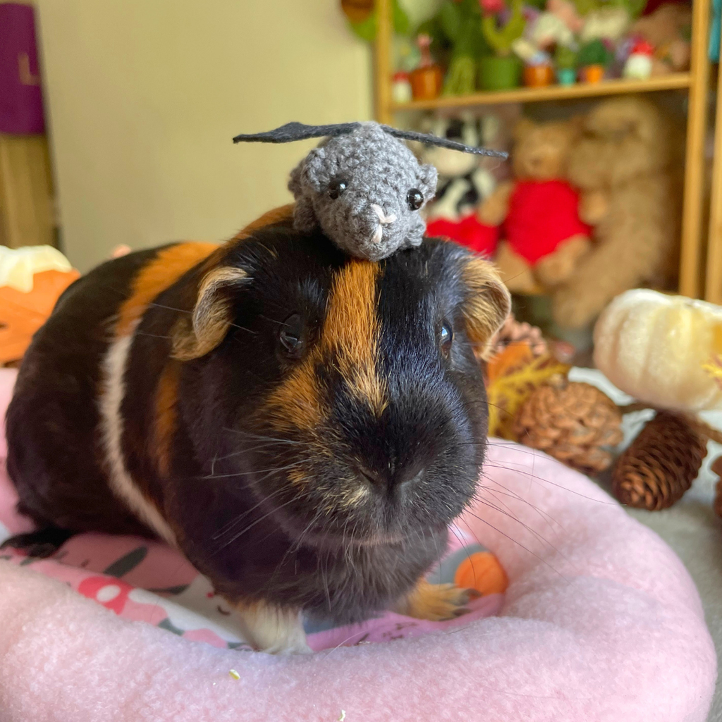 Piggy Friends Halloween Special Edition