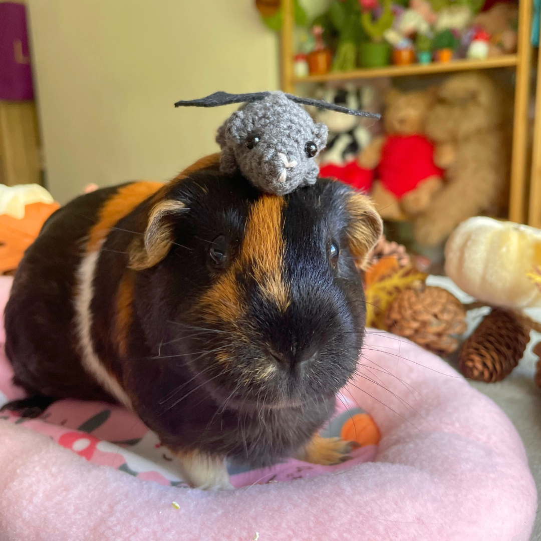 Piggy Friends Halloween Special Edition