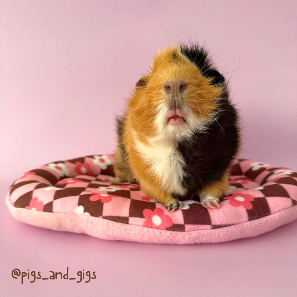 Piggy Pillow in Bambi Blossom