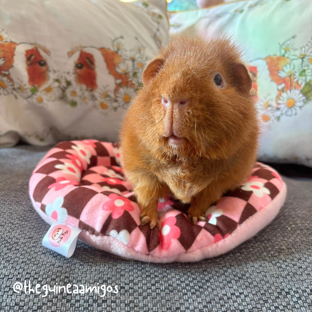 Piggy Pillow in Bambi Blossom