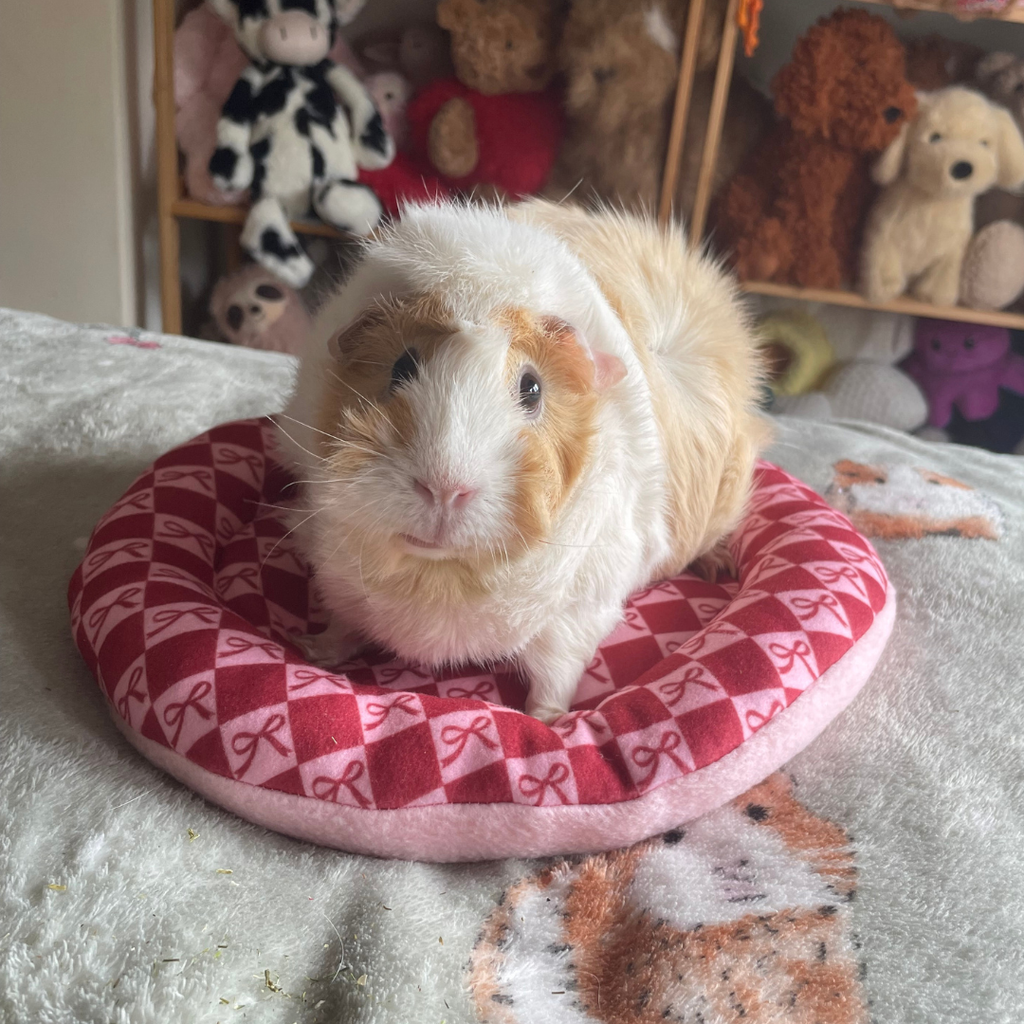 Piggy Pillow in Bonnie Bow