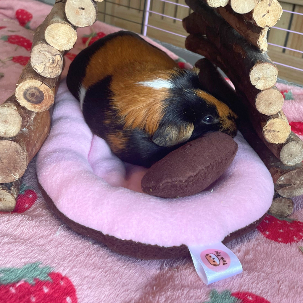 Poopy Pillow
