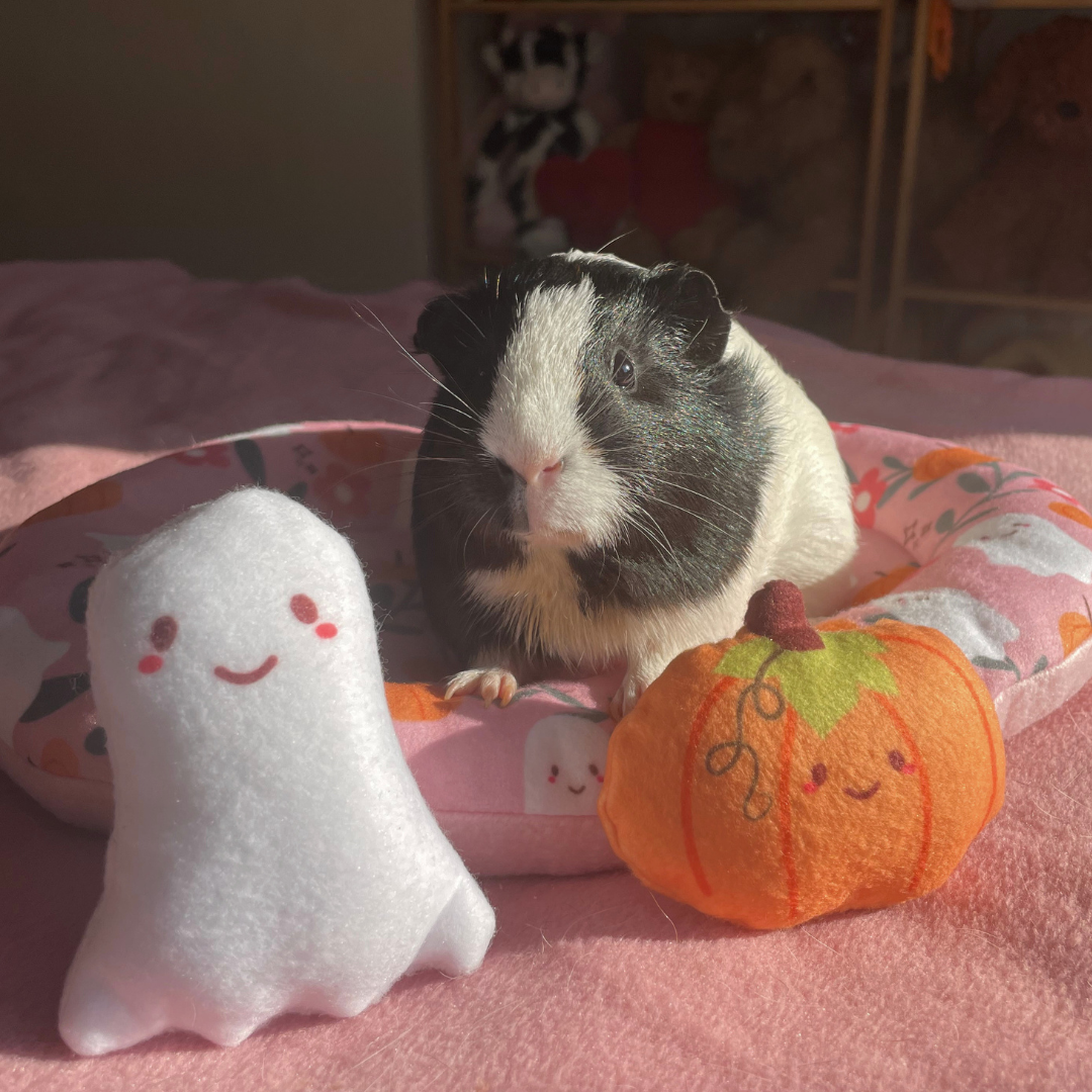 Ghost & Pumpkin Pillow